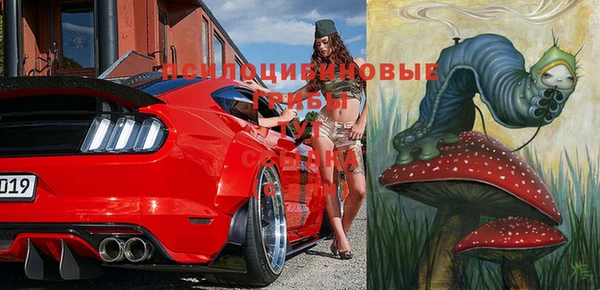 MESCALINE Белокуриха