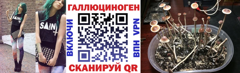 как найти закладки  Нижний Тагил  Галлюциногенные грибы Magic Shrooms 